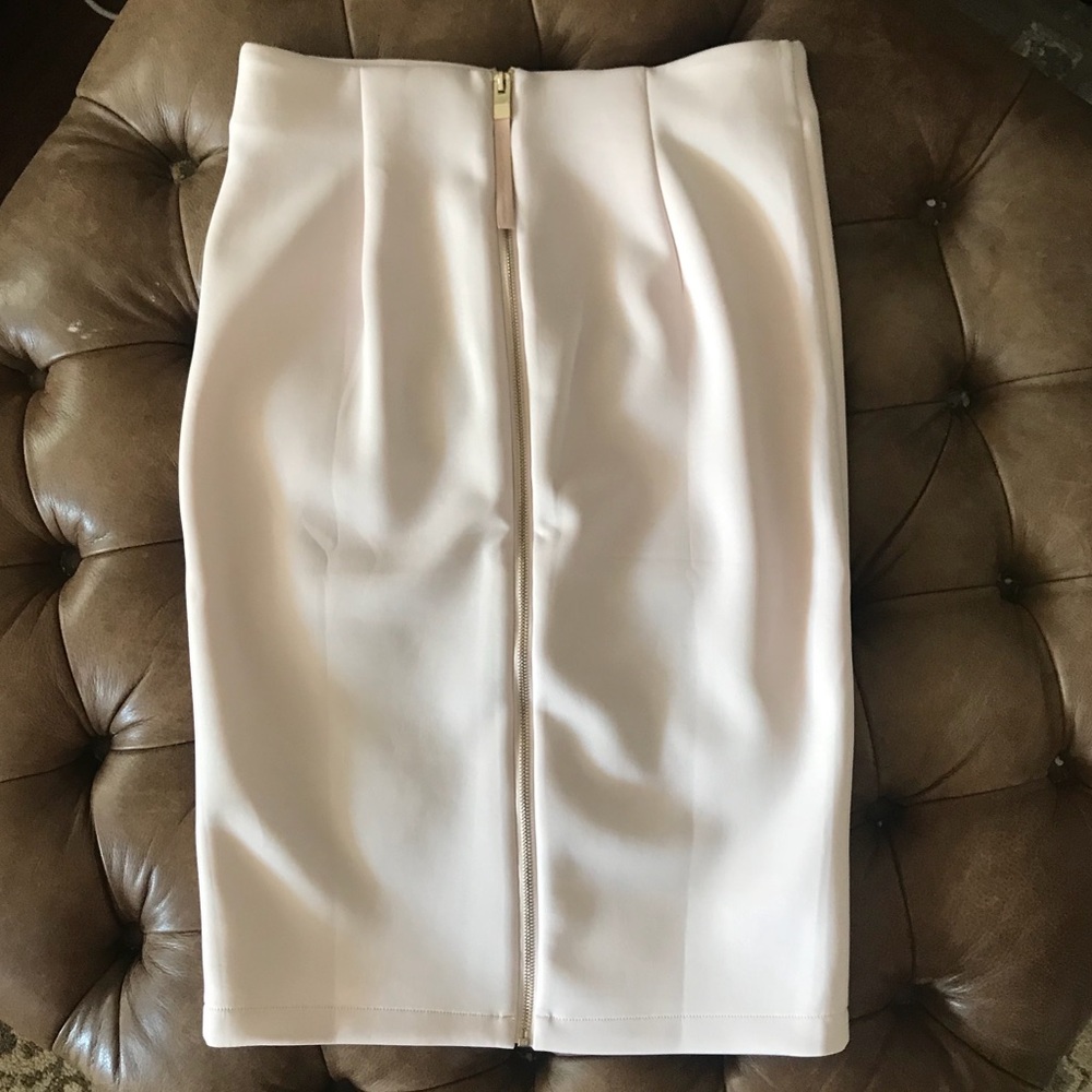 Blush pink Catherine Malandrino zip skirt EUC